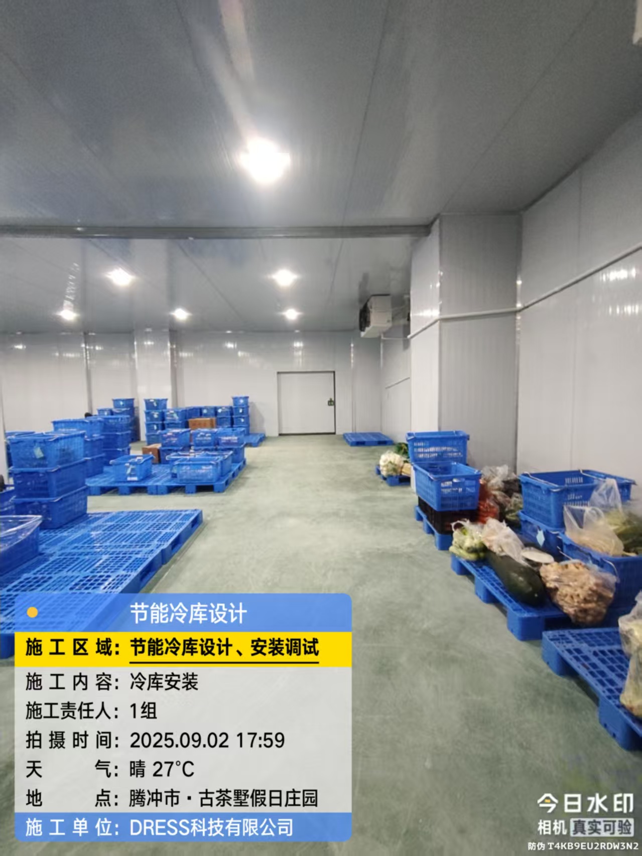 9.2腾冲古茶5.jpg