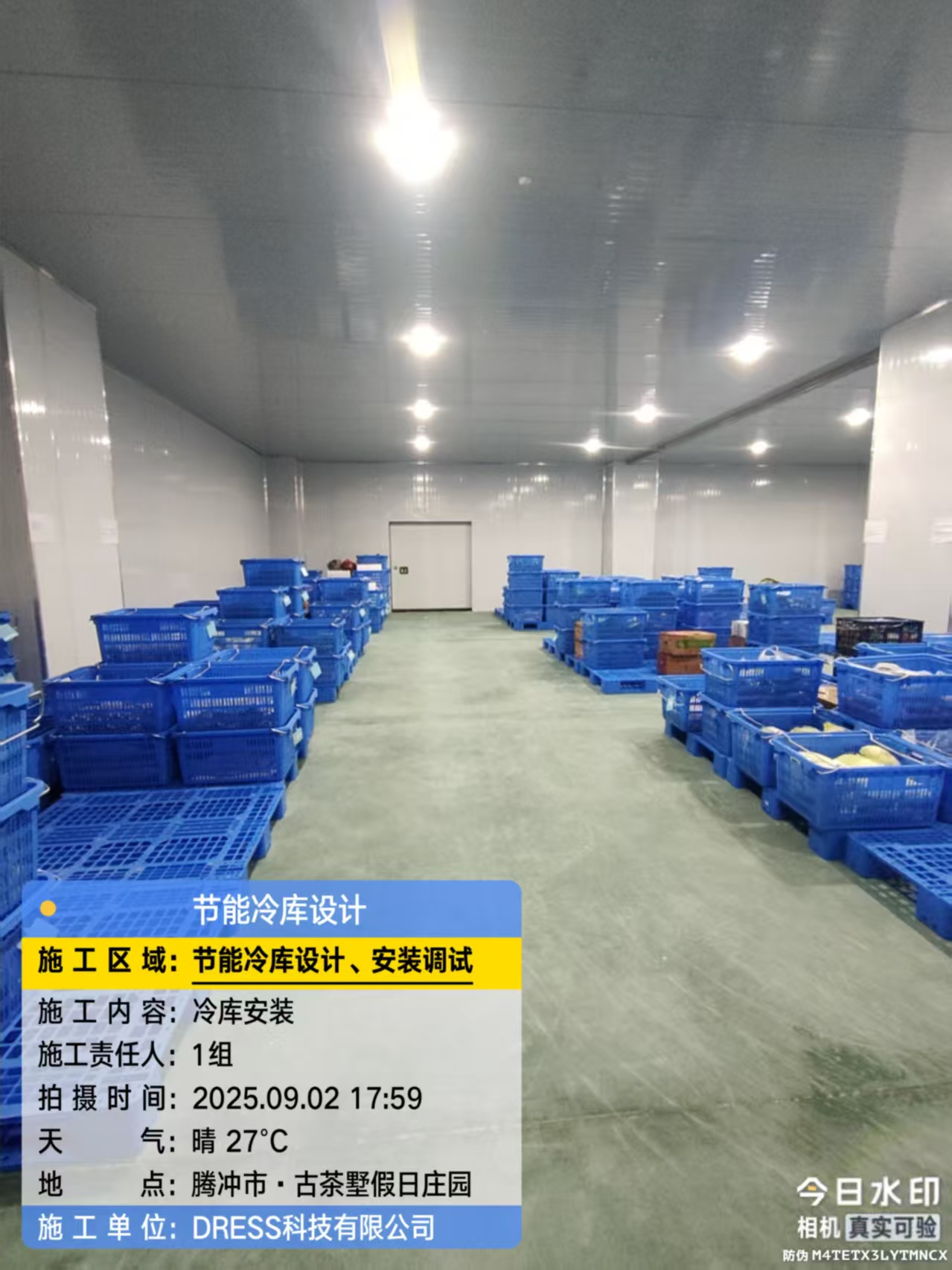 9.2腾冲古茶4.jpg