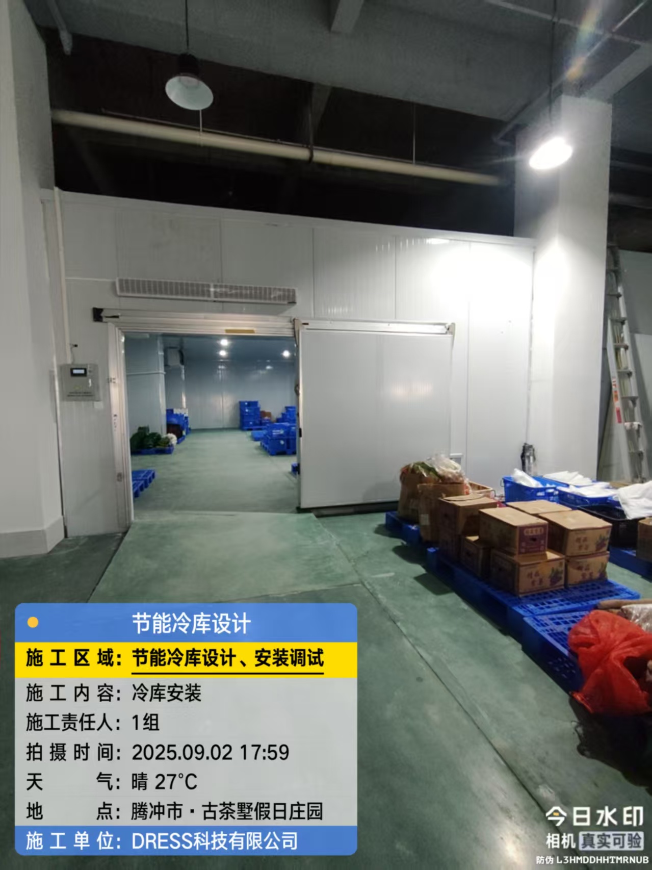 9.2腾冲古茶3.jpg