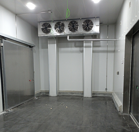 1646719452(1).png