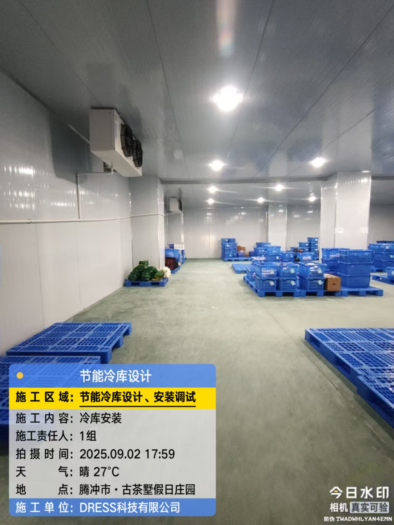 9.2腾冲古茶1.jpg